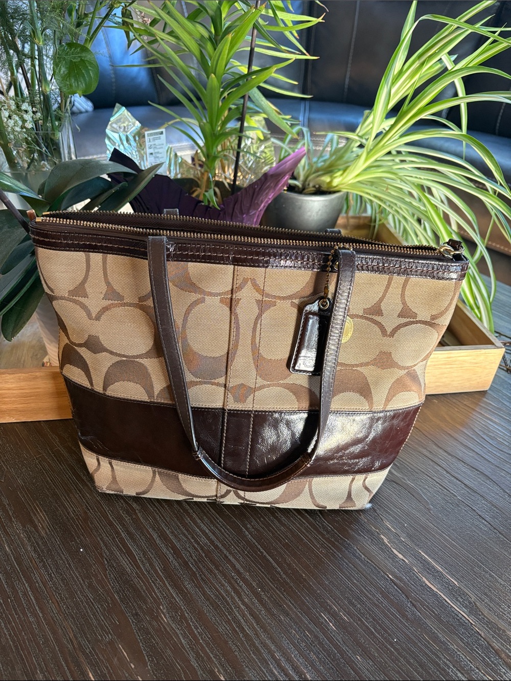 Coach Signature Canvas Tote in Beige and Dark Brown